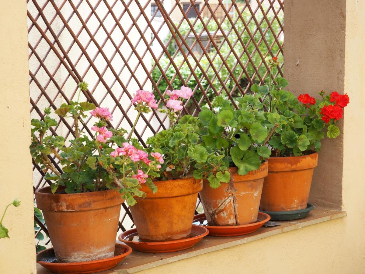 Casa De Nohales Guest House ภายนอก รูปภาพ